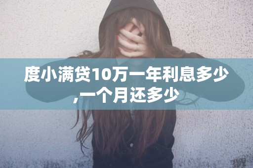 度小满贷10万一年利息多少,一个月还多少