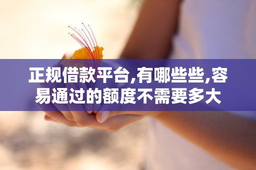 正规借款平台,有哪些些,容易通过的额度不需要多大