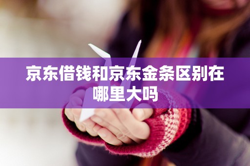 京东借钱和京东金条区别在哪里大吗