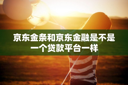 京东金条和京东金融是不是一个贷款平台一样