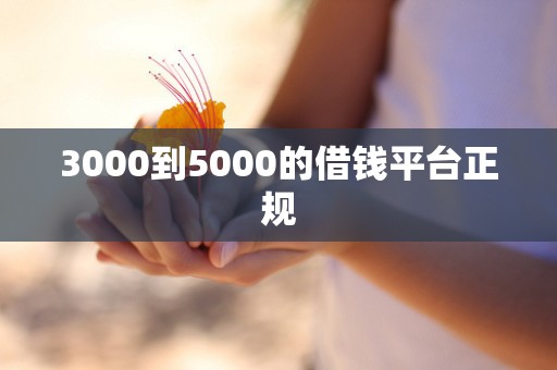 3000到5000的借钱平台正规