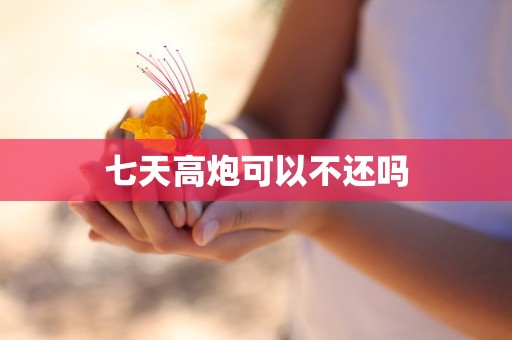 七天高炮可以不还吗