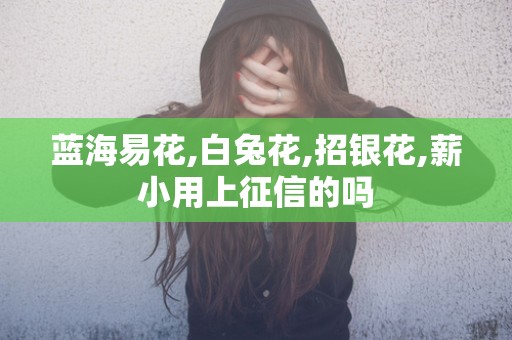 蓝海易花,白兔花,招银花,薪小用上征信的吗