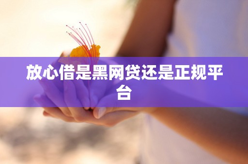 放心借是黑网贷还是正规平台