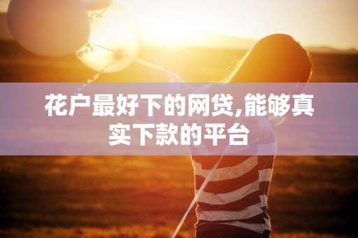 花户最好下的网贷,能够真实下款的平台