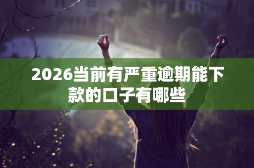 2026当前有严重逾期能下款的口子有哪些