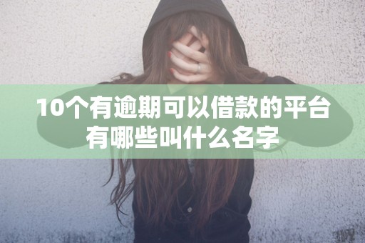 10个有逾期可以借款的平台有哪些叫什么名字