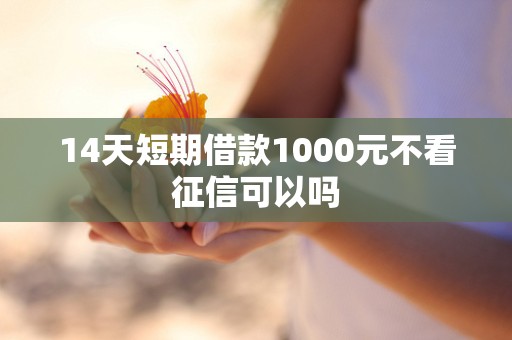 14天短期借款1000元不看征信可以吗