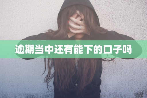 逾期当中还有能下的口子吗