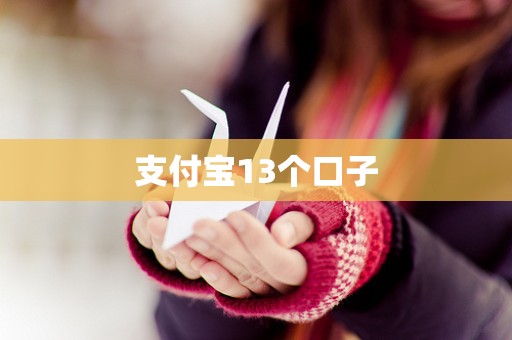 支付宝13个口子