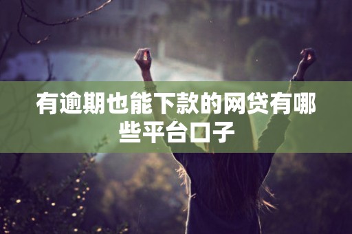 有逾期也能下款的网贷有哪些平台口子