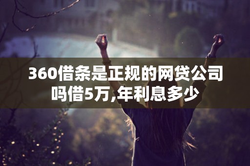 360借条是正规的网贷公司吗借5万,年利息多少