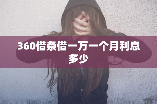 360借条借一万一个月利息多少
