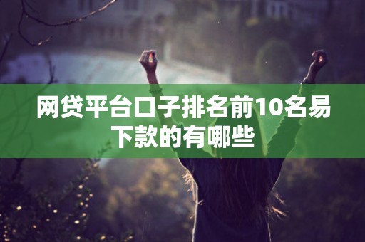 网贷平台口子排名前10名易下款的有哪些