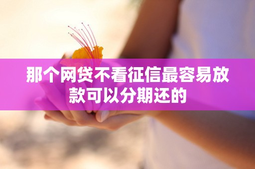 那个网贷不看征信最容易放款可以分期还的