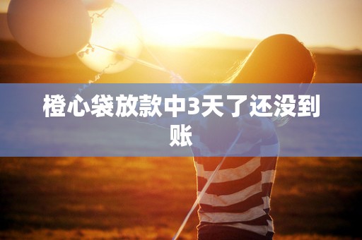 橙心袋放款中3天了还没到账