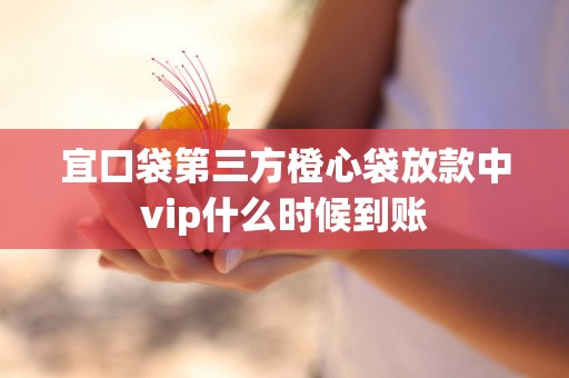 宜口袋第三方橙心袋放款中vip什么时候到账