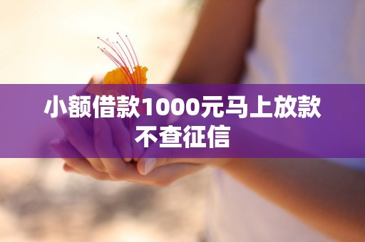 小额借款1000元马上放款不查征信
