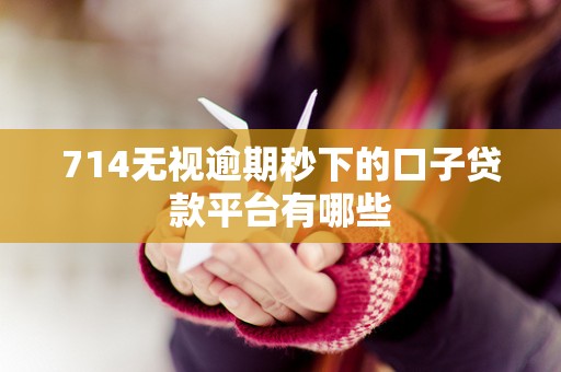 714无视逾期秒下的口子贷款平台有哪些