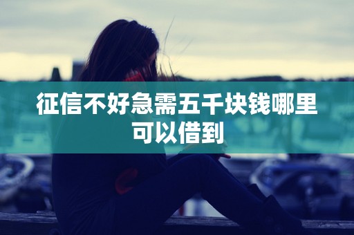 征信不好急需五千块钱哪里可以借到