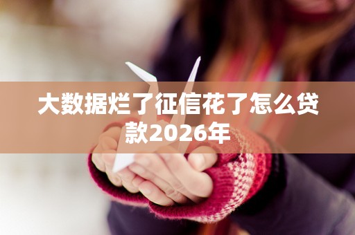 大数据烂了征信花了怎么贷款2026年