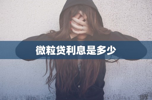 微粒贷利息是多少