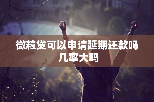 微粒贷可以申请延期还款吗 几率大吗