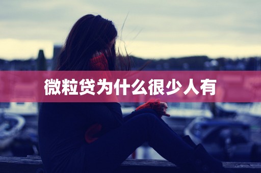 微粒贷为什么很少人有