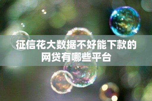 征信花大数据不好能下款的网贷有哪些平台