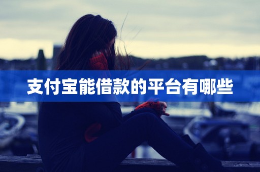 支付宝能借款的平台有哪些