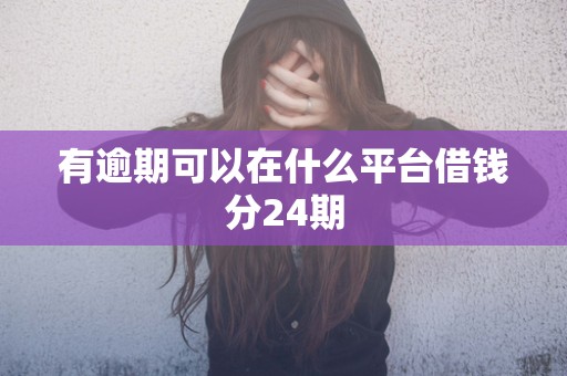 有逾期可以在什么平台借钱分24期