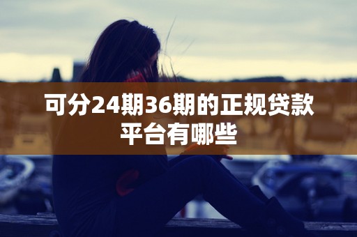 可分24期36期的正规贷款平台有哪些
