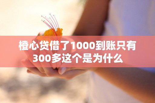 橙心贷借了1000到账只有300多这个是为什么