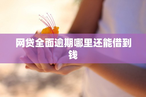 网贷全面逾期哪里还能借到钱