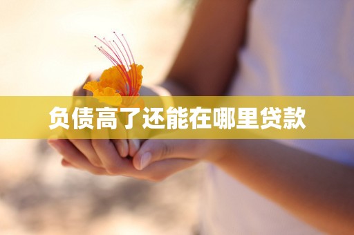 负债高了还能在哪里贷款