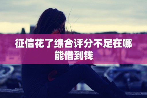 征信花了综合评分不足在哪能借到钱 征信花了综合评分不足在哪能借到钱