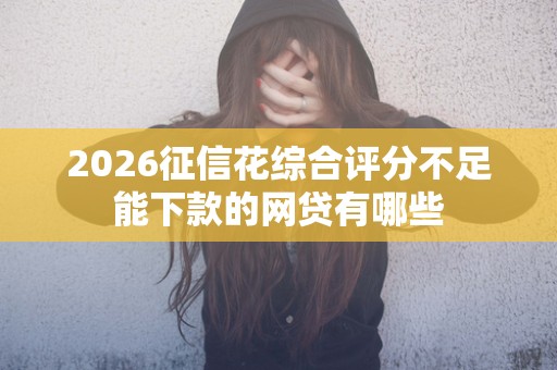 2026征信花综合评分不足能下款的网贷有哪些