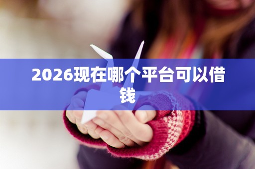 2026现在哪个平台可以借钱