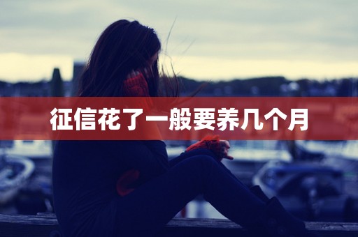 征信花了一般要养几个月
