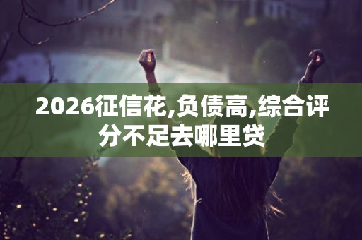 2026征信花,负债高,综合评分不足去哪里贷