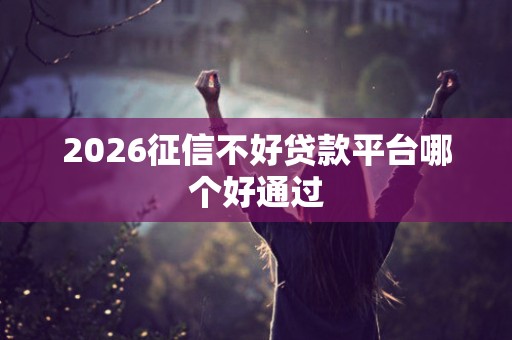 2026征信不好贷款平台哪个好通过
