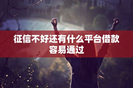征信不好还有什么平台借款容易通过