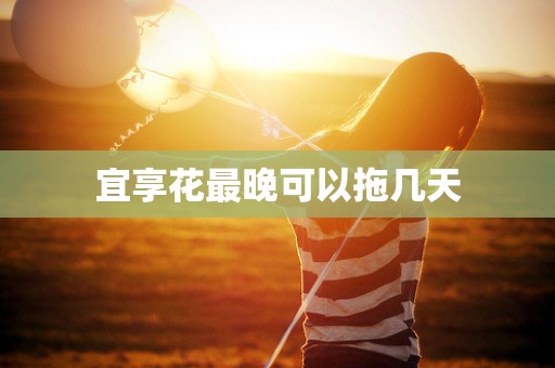 宜享花最晚可以拖几天 宜享花最晚可以拖几天