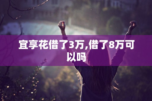 宜享花借了3万,借了8万可以吗