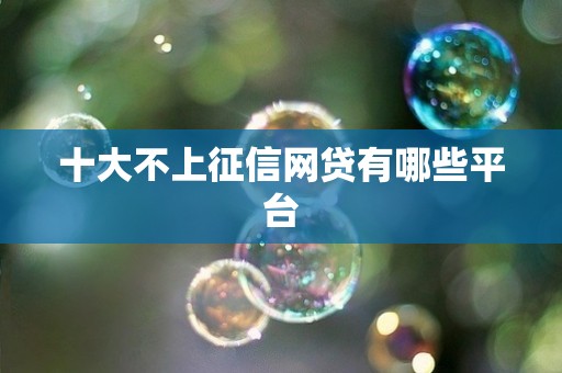 十大不上征信网贷有哪些平台