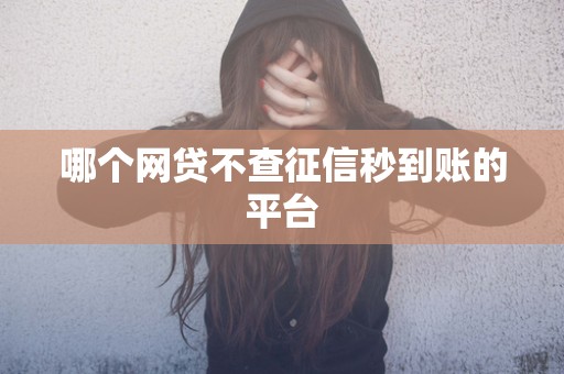 哪个网贷不查征信秒到账的平台