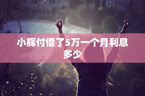 小辉付借了5万一个月利息多少