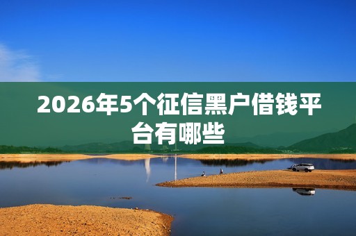 2026年5个征信黑户借钱平台有哪些