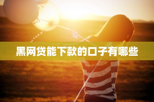 黑网贷能下款的口子有哪些