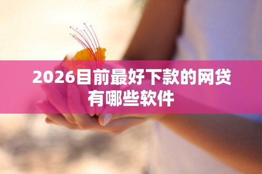 2026目前最好下款的网贷有哪些软件